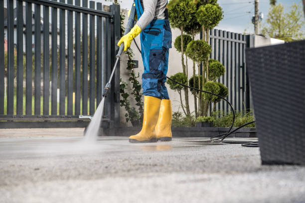 Best Roof Washing  in Lower Lake, CA